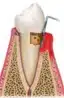 Dental professional wearing pink patterned jacket and stethoscope in clinical setting.