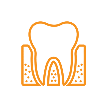 Orange line icon of a tooth cross-section showing internal structure and root canals.